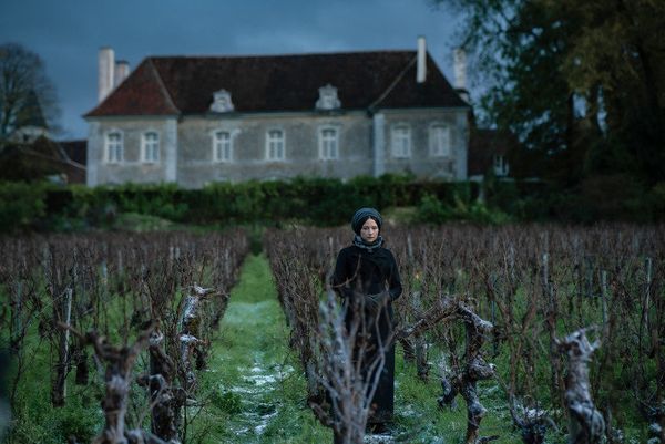 Produktbild: Die Witwe Clicquot