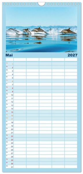 Produktbild: Familienplaner 2027 - Delfine: Elegante Wellenreiter mit 5 Spalten (Wandkalender, 21 x 45 cm) CALVENDO