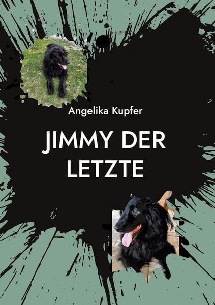 Produktbild: Jimmy der Letzte