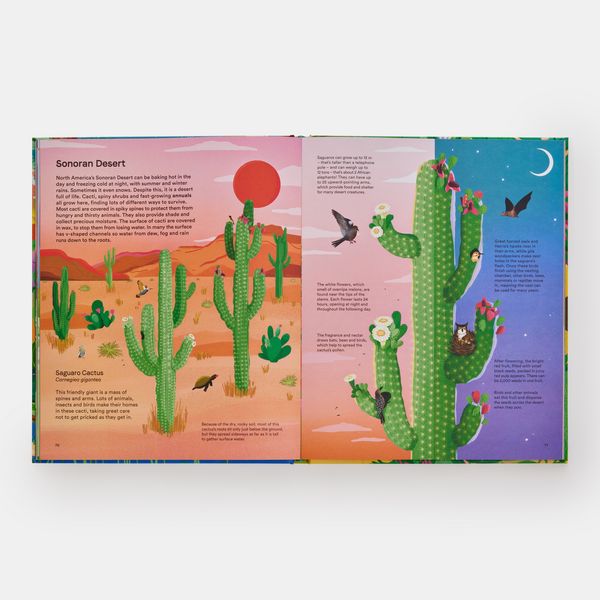 Produktbild: A Home for Every Plant