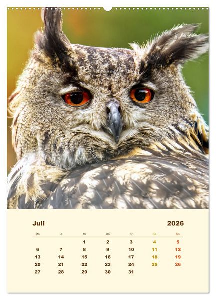 Produktbild: Uhu, die Faszination bernsteinfarbener Augen (Wandkalender 2026 DIN A2 hoch), CALVENDO Monatskalender