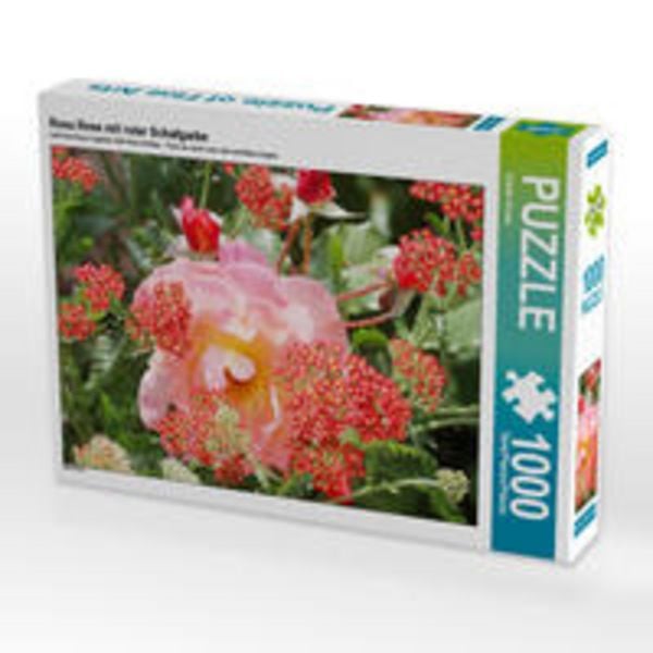 CALVENDO Puzzle Rosa Rose mit roter Schafgarbe | 1000 Teile Lege-Größe 64x48cm Foto-Puzzle für glückliche Stunden