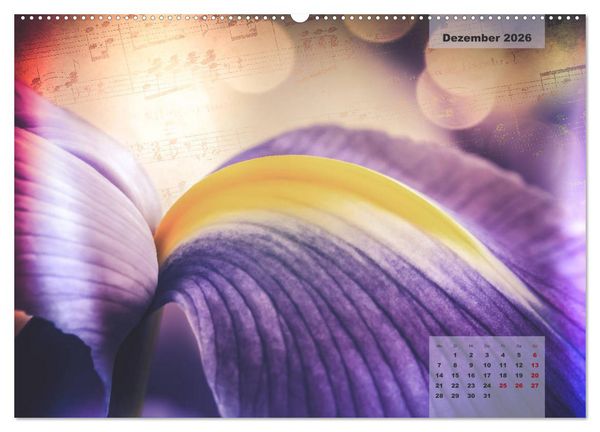 Produktbild: Bl&uuml;ten im Retro-Style (Wandkalender 2026 DIN A2 quer), CALVENDO Monatskalender