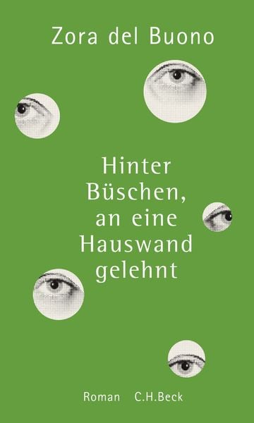 Produktbild: Hinter B&uuml;schen, an eine Hauswand gelehnt