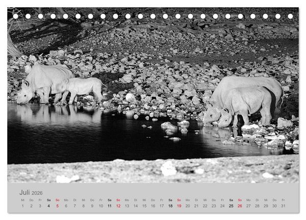 Produktbild: Die Seelen der wilden Tiere (Tischkalender 2026 DIN A5 quer), CALVENDO Monatskalender