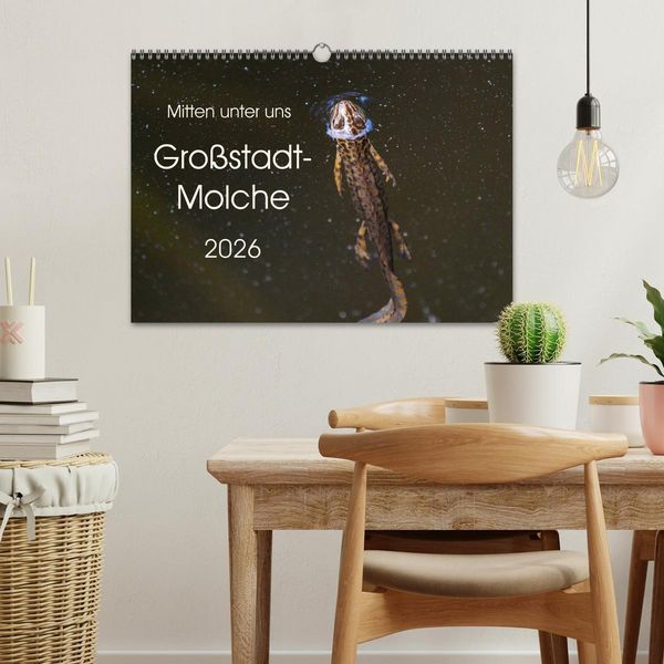 Produktbild: Mitten unter uns - Gro&szlig;stadt-Molche (Wandkalender 2026 DIN A3 quer), CALVENDO Monatskalender