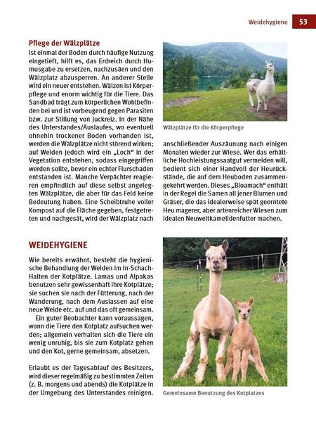 Produktbild: Alpakas & Lamas