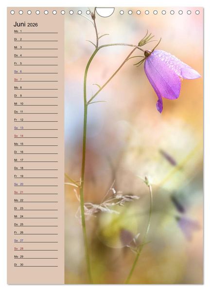 Produktbild: Pastell-Zauber (Wandkalender 2026 DIN A4 hoch), CALVENDO Monatskalender