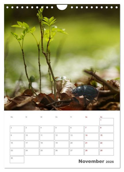 Produktbild: Helden in der Natur (Wandkalender 2026 DIN A4 hoch), CALVENDO Monatskalender