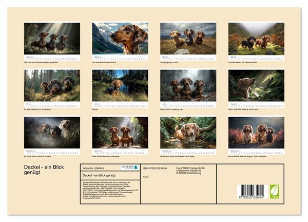 Produktbild: Dackel - ein Blick gen&uuml;gt (hochwertiger Premium Wandkalender 2026 DIN A2 quer), Kunstdruck in Hochglanz
