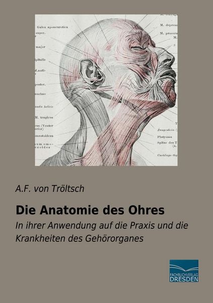 Produktbild: Die Anatomie des Ohres