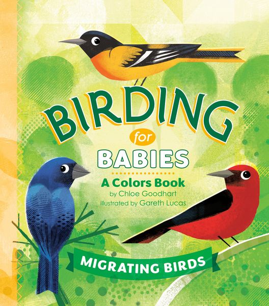 Produktbild: Birding for Babies: Migrating Birds