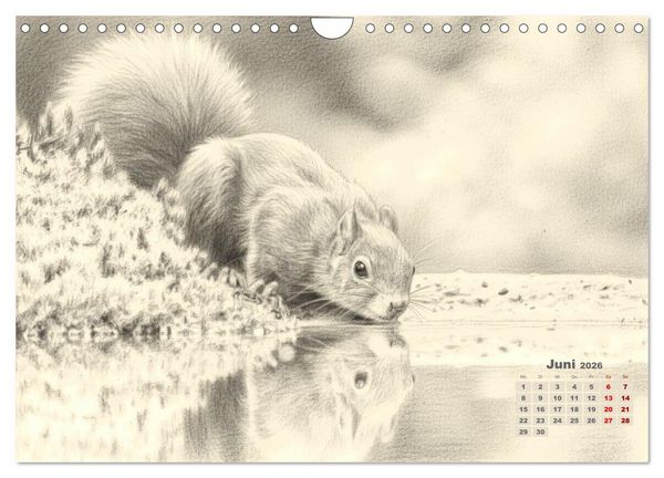 Produktbild: Wilde Seelen - Tierische Momente in Graphit (Wandkalender 2026 DIN A4 quer), CALVENDO Monatskalender