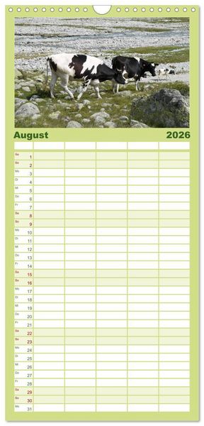 Produktbild: Familienplaner 2026 - K&uuml;he mit H&ouml;rnern mit 5 Spalten (Wandkalender, 21 x 45 cm) CALVENDO