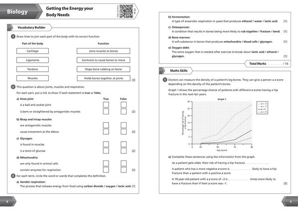 Produktbild: KS3 Science Year 8 Workbook