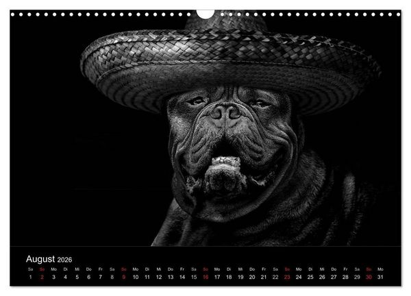 Produktbild: H&uuml;tehunde (Wandkalender 2026 DIN A3 quer), CALVENDO Monatskalender