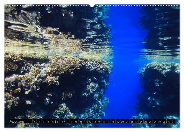 Produktbild: Rotes Meer Unterwasser (Wandkalender 2026 DIN A2 quer), CALVENDO Monatskalender