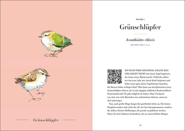 Produktbild: Der Gesang der V&ouml;gel