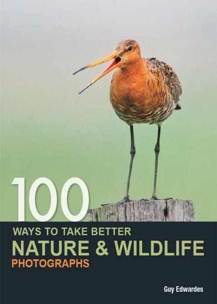Produktbild: 100 Ways to Take Better Nature & Wildlife Photographs