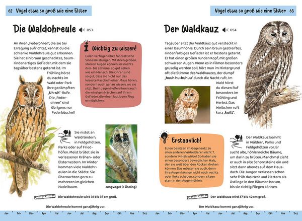 Produktbild: Was fliegt denn da? Kindernaturf&uuml;hrer