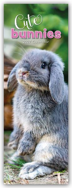 Produktbild: Cute Bunnies &ndash; S&uuml;&szlig;e H&auml;schen &ndash; Slimline-Kalender 2027