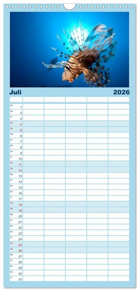 Produktbild: Familienplaner 2026 - Faszination Tauchen - Neptuns Reich mit 5 Spalten (Wandkalender, 21 x 45 cm) CALVENDO
