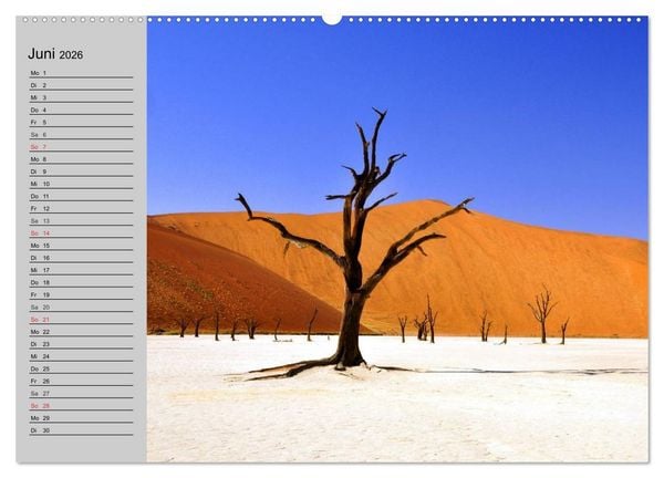 Produktbild: Magische B&auml;ume (hochwertiger Premium Wandkalender 2026 DIN A2 quer), Kunstdruck in Hochglanz