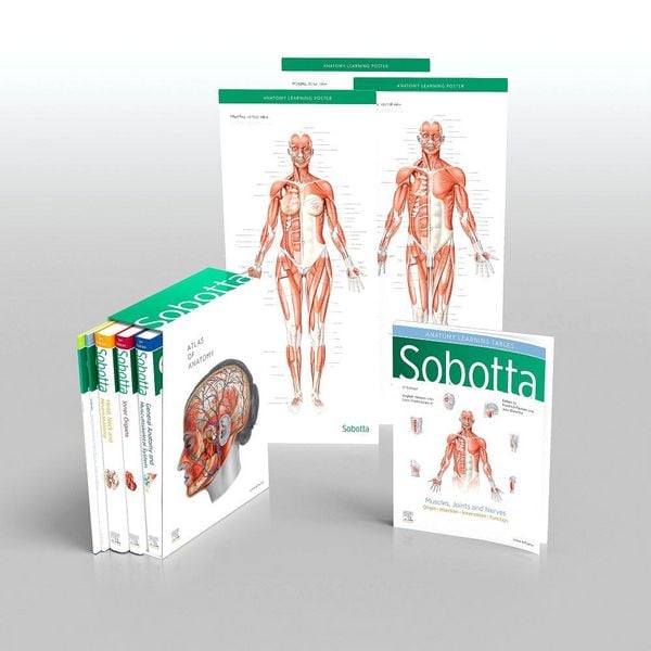 Produktbild: Paulsen, F: Sobotta Atlas of Anatomy, Package, 17th ed., Eng