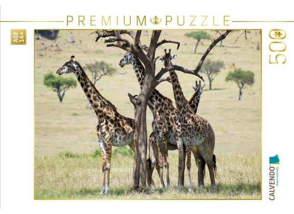 CALVENDO Puzzle Giraffen in der Masai Mara | 500 Teile Lege-Größe 48 × 36 cm Foto-Puzzle für Erwachsene