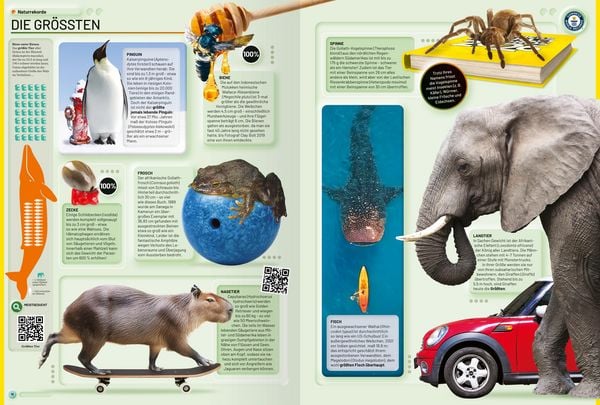 Produktbild: Guinness World Records - 2026