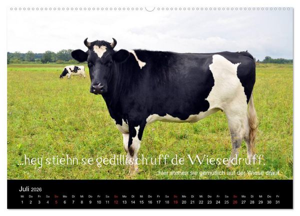 Produktbild: Die Wetterau mit Mundart-Statements (hochwertiger Premium Wandkalender 2026 DIN A2 quer), Kunstdruck in Hochglanz
