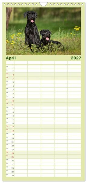 Produktbild: Familienplaner 2027 - Mit dem Riesenschnauzer durch das Jahr mit 5 Spalten (Wandkalender, 21 x 45 cm) CALVENDO