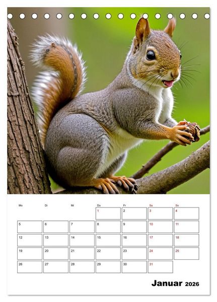 Produktbild: Mit Tieren hinein in das neue Jahr (Tischkalender 2026 DIN A5 hoch), CALVENDO Monatskalender