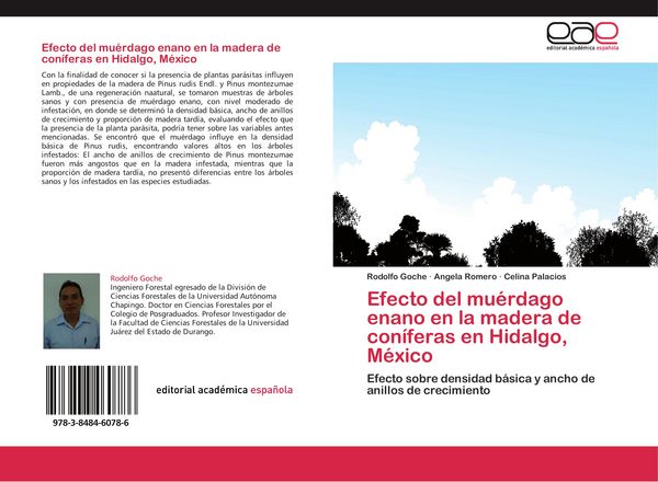 Produktbild: Efecto del mu&eacute;rdago enano en la madera de con&iacute;feras en Hidalgo, M&eacute;xico