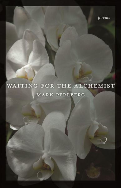 Produktbild: Waiting for the Alchemist