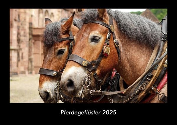 Produktbild: Pferdegefl&uuml;ster 2025 Fotokalender DIN A3