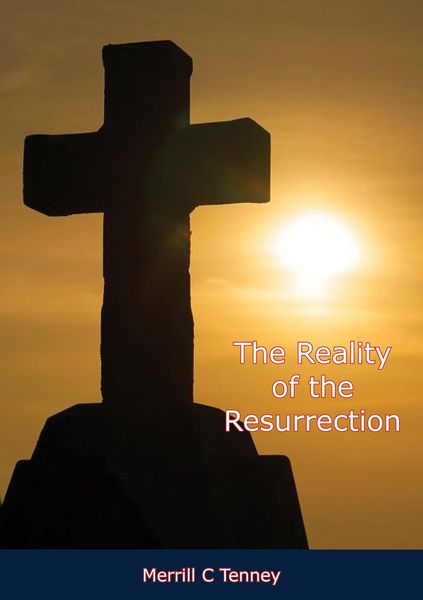 Produktbild: Reality of the Resurrection