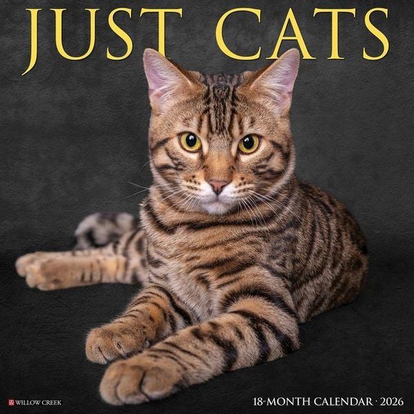 Produktbild: Cats 2026 Wall Calendar