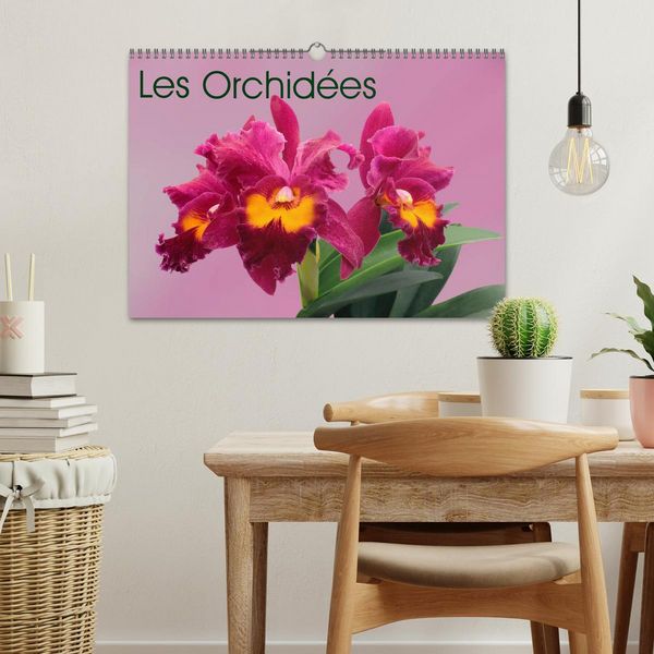 Produktbild: Les Orchid&eacute;es (Calendrier mural 2026 DIN A3 vertical), CALVENDO calendrier mensuel