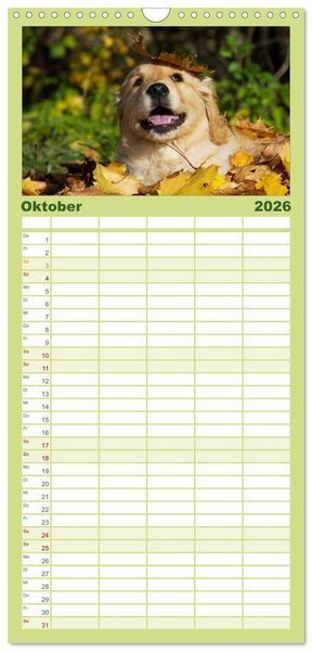 Produktbild: Familienplaner 2026 - Golden Retriever - Ein Herz auf 4 Pfoten mit 5 Spalten (Wandkalender, 21 x 45 cm) CALVENDO