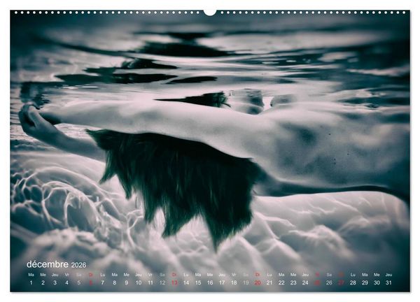 Produktbild: AQUAPASSION (Calendrier mural 2026 DIN A2 vertical) calendrier de bureau