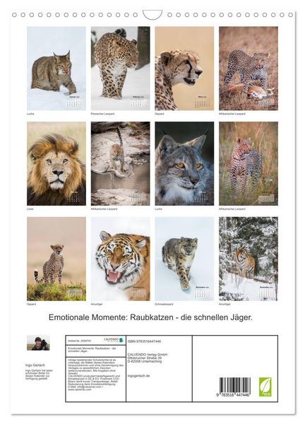 Produktbild: Emotionale Momente: Raubkatzen - die schnellen J&auml;ger. (Wandkalender 2026 DIN A3 hoch), CALVENDO Monatskalender