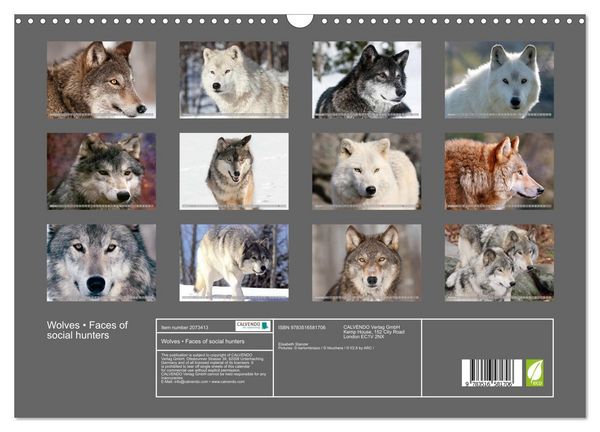 Produktbild: Wolves &bull; Faces of social hunters (Wall Calendar 2026 DIN A3 landscape), CALVENDO 12 Month Wall Calendar