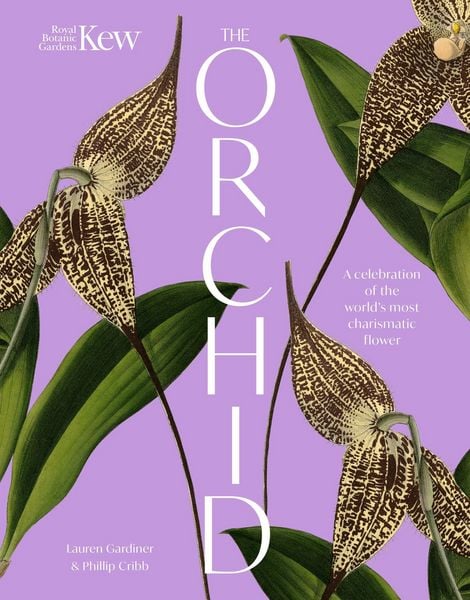 Produktbild: The Orchid