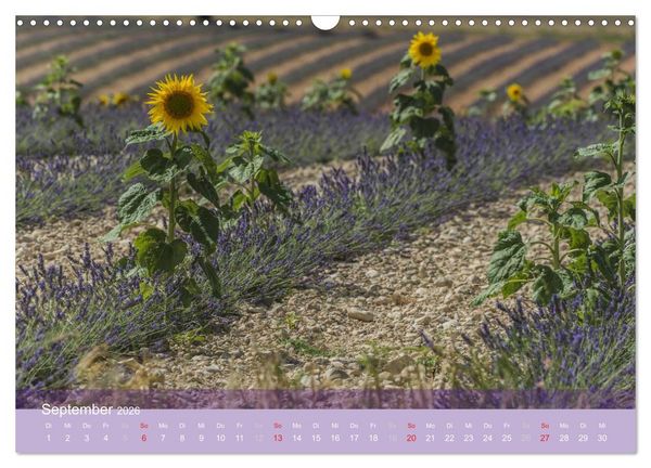 Produktbild: Die Farbe des Lavendels (Wandkalender 2026 DIN A3 quer), CALVENDO Monatskalender