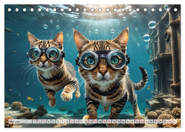 Produktbild: Katzen unter Wasser (Tischkalender 2026 DIN A5 quer), CALVENDO Monatskalender