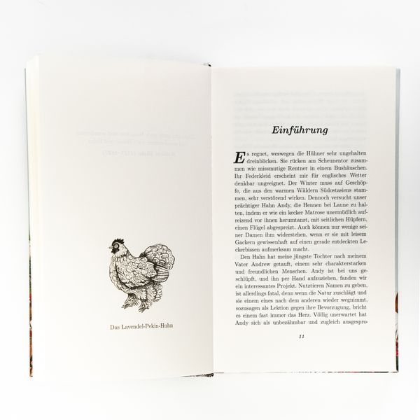 Produktbild: Am Anfang war das Huhn. Geschichte eines Charaktertiers