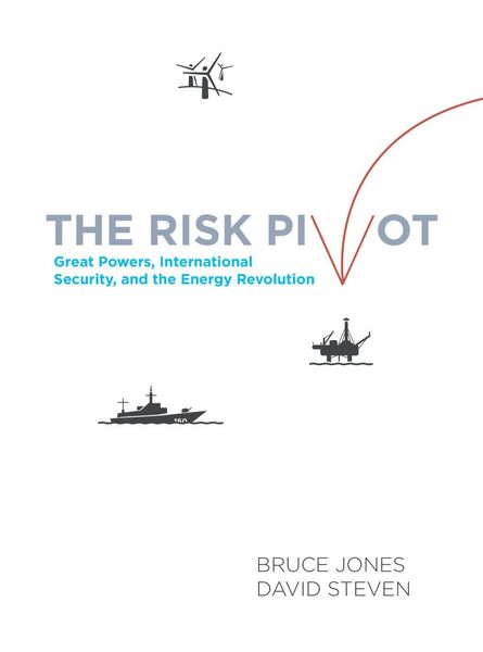 Produktbild: The Risk Pivot
