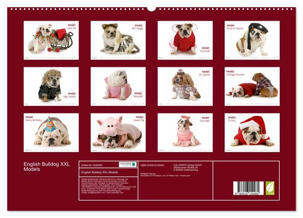 Produktbild: English Bulldog XXL Models (hochwertiger Premium Wandkalender 2026 DIN A2 quer), Kunstdruck in Hochglanz