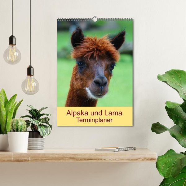 Produktbild: Alpaka und Lama Terminplaner (Wandkalender 2026 DIN A3 hoch), CALVENDO Monatskalender